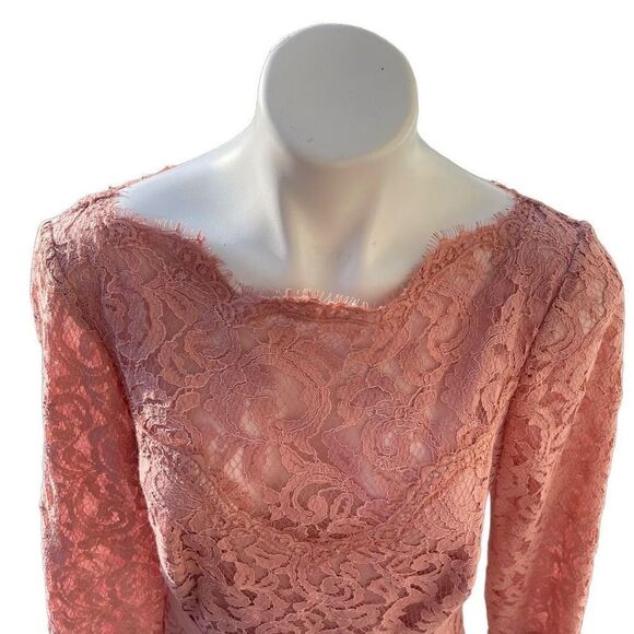 Tadashi Shoji blush Evening Dress Gown Cocktail Wedding Lace Lined Pink Size 12 - Picture 5 of 14
